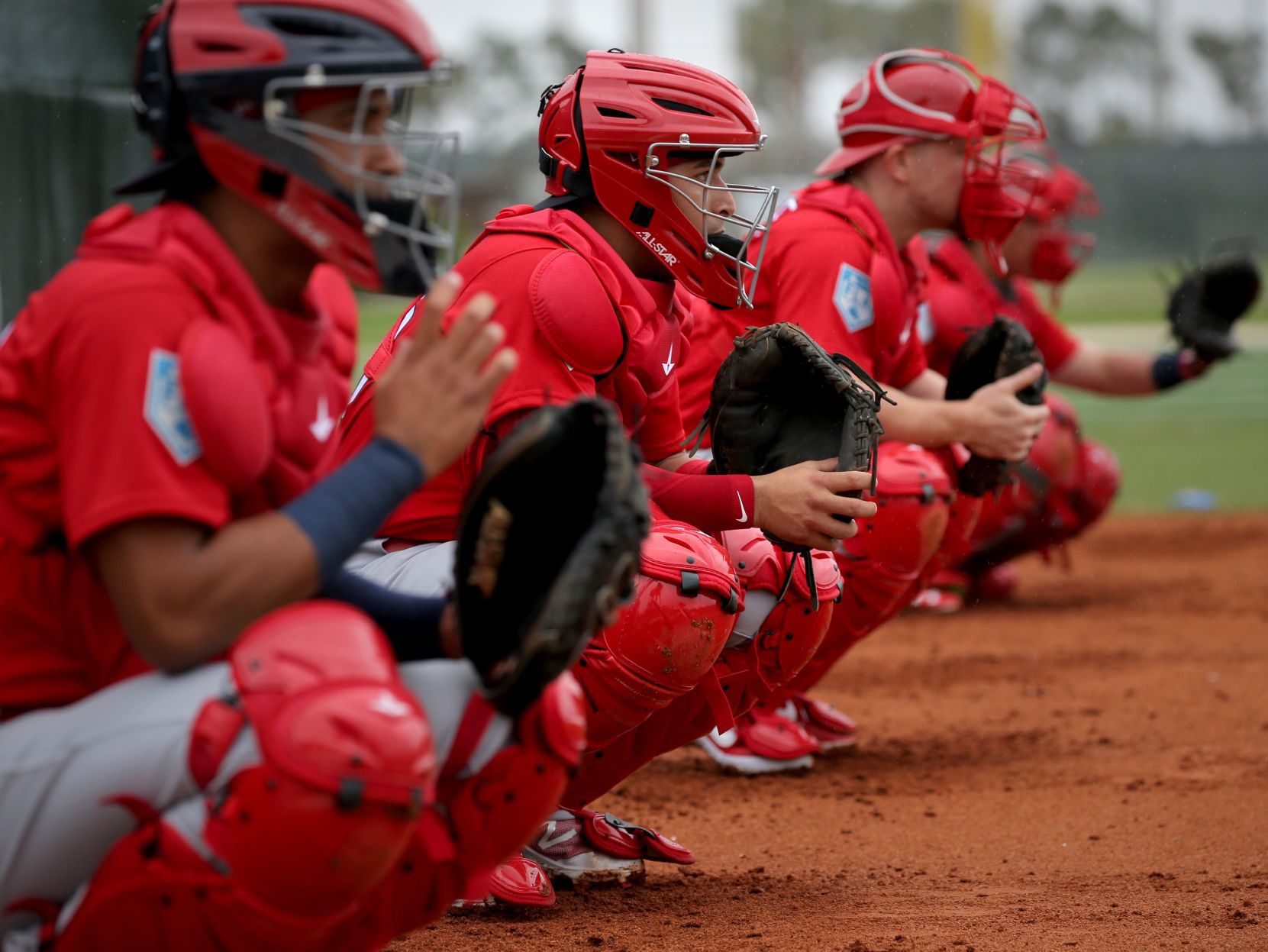 Cardinals spring training
